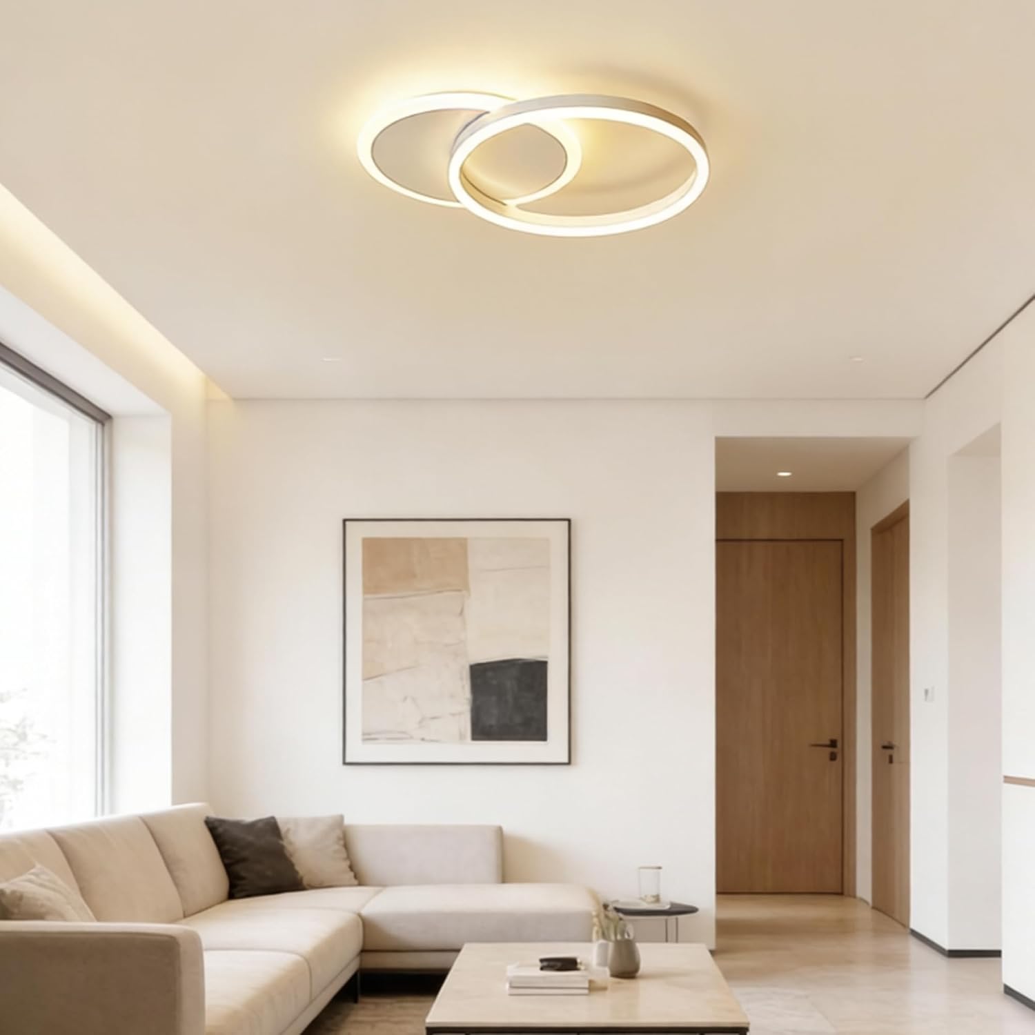 Double Ring 3 Color LED Ceiling Light