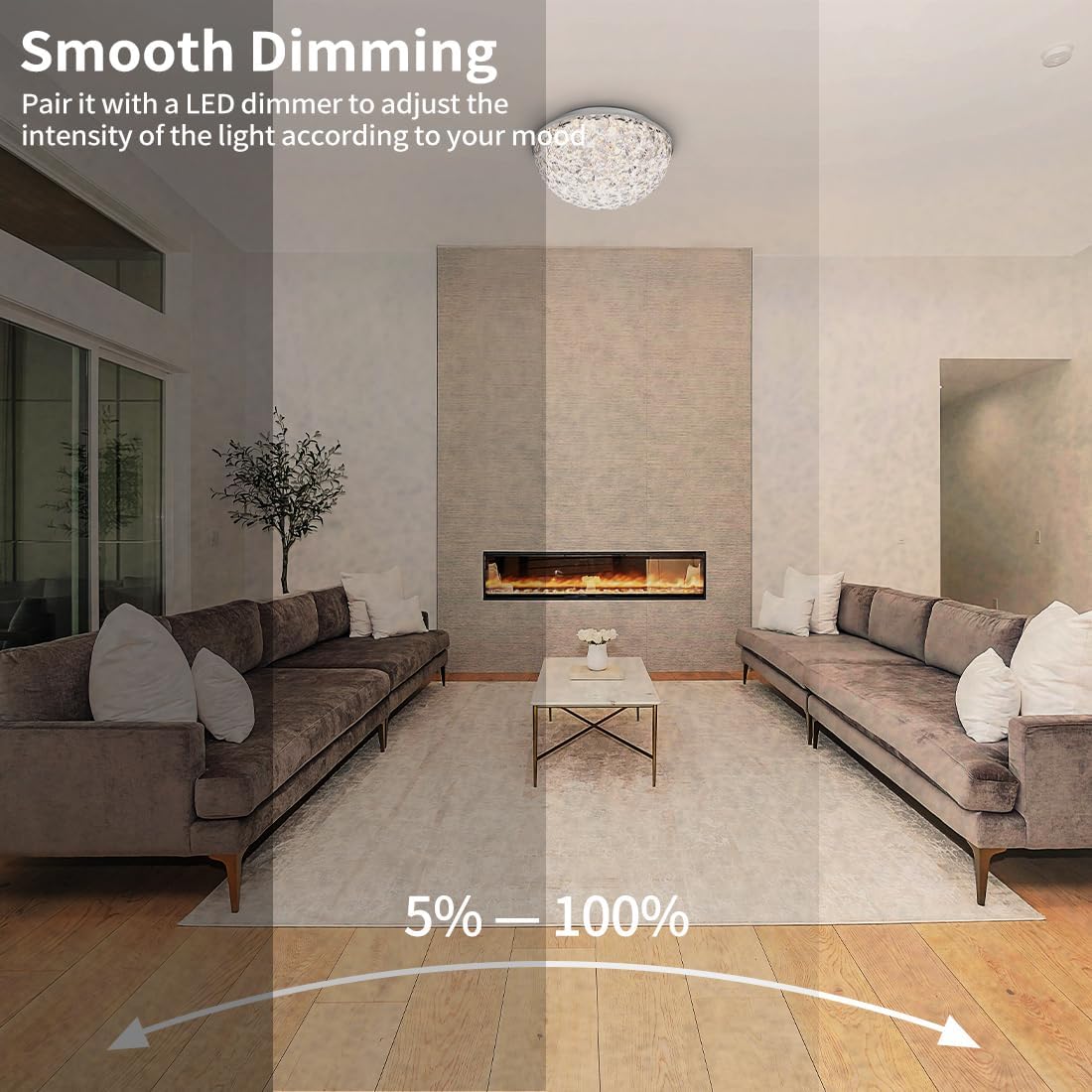 12 Inch Crystal Dimmable Ceiling Light