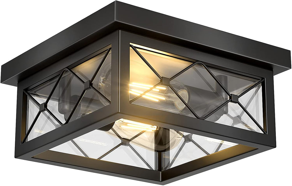 Black Cage 2-Light Glass Ceiling Light