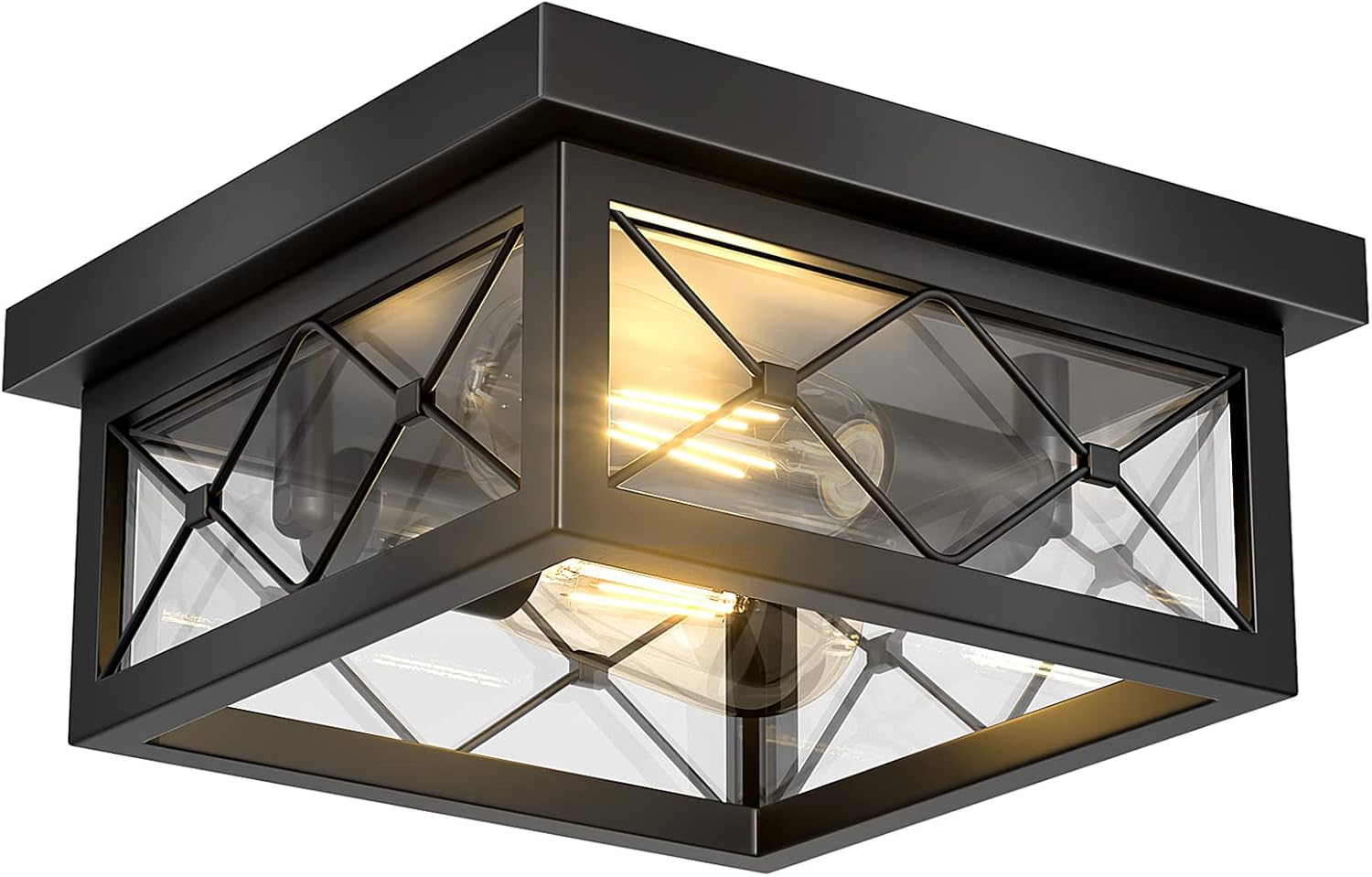 Black Cage 2-Light Glass Ceiling Light