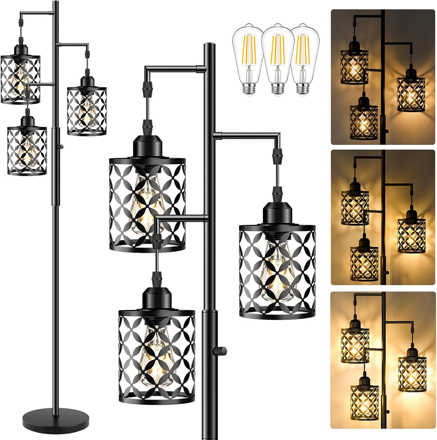 Black Cage Dimmable Farmhouse Floor Lamp