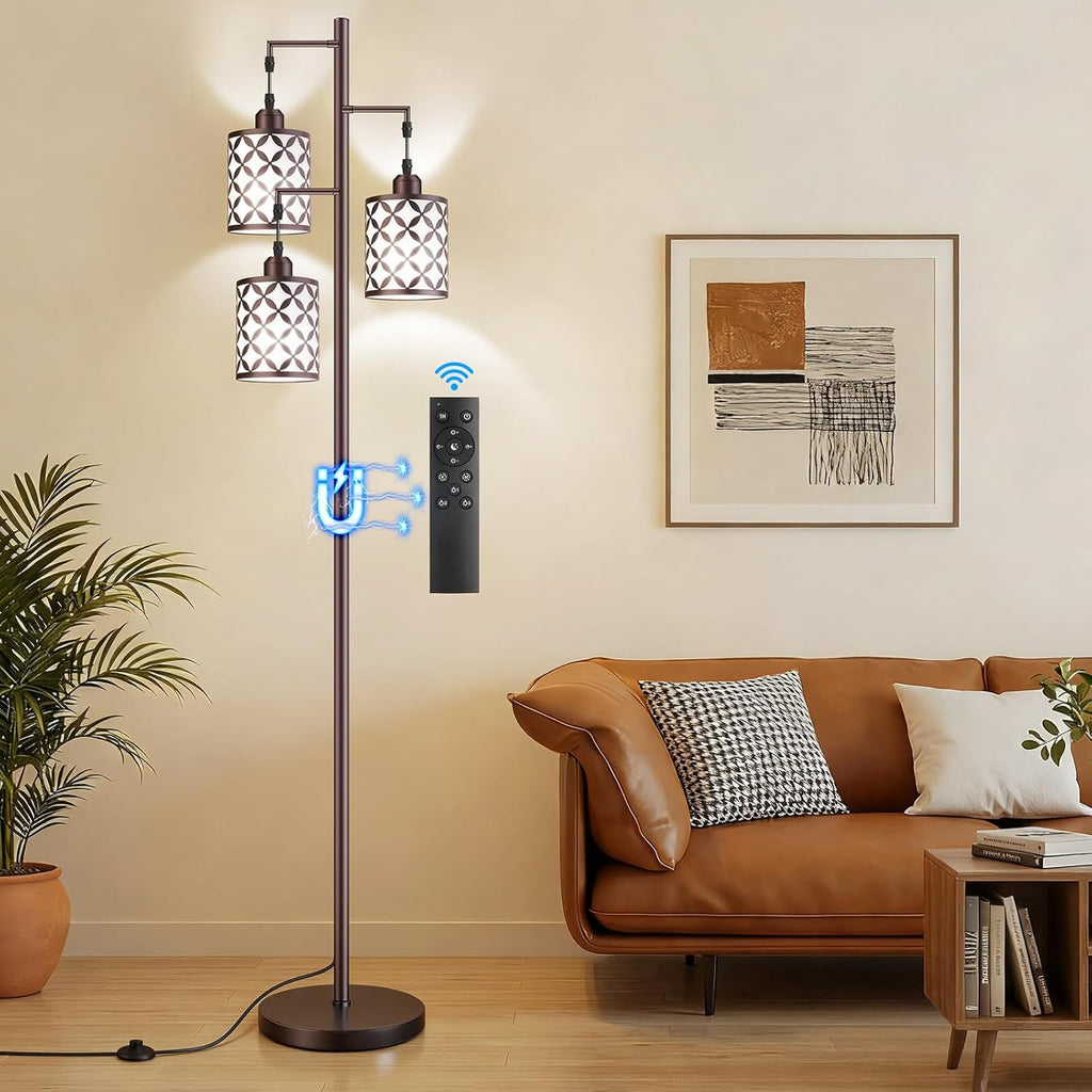 Black Cage Dimmable Farmhouse Floor Lamp