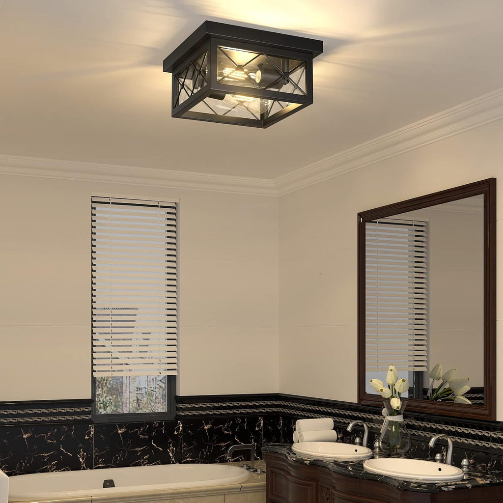 Black Cage 2-Light Glass Ceiling Light