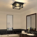 Black Cage 2-Light Glass Ceiling Light