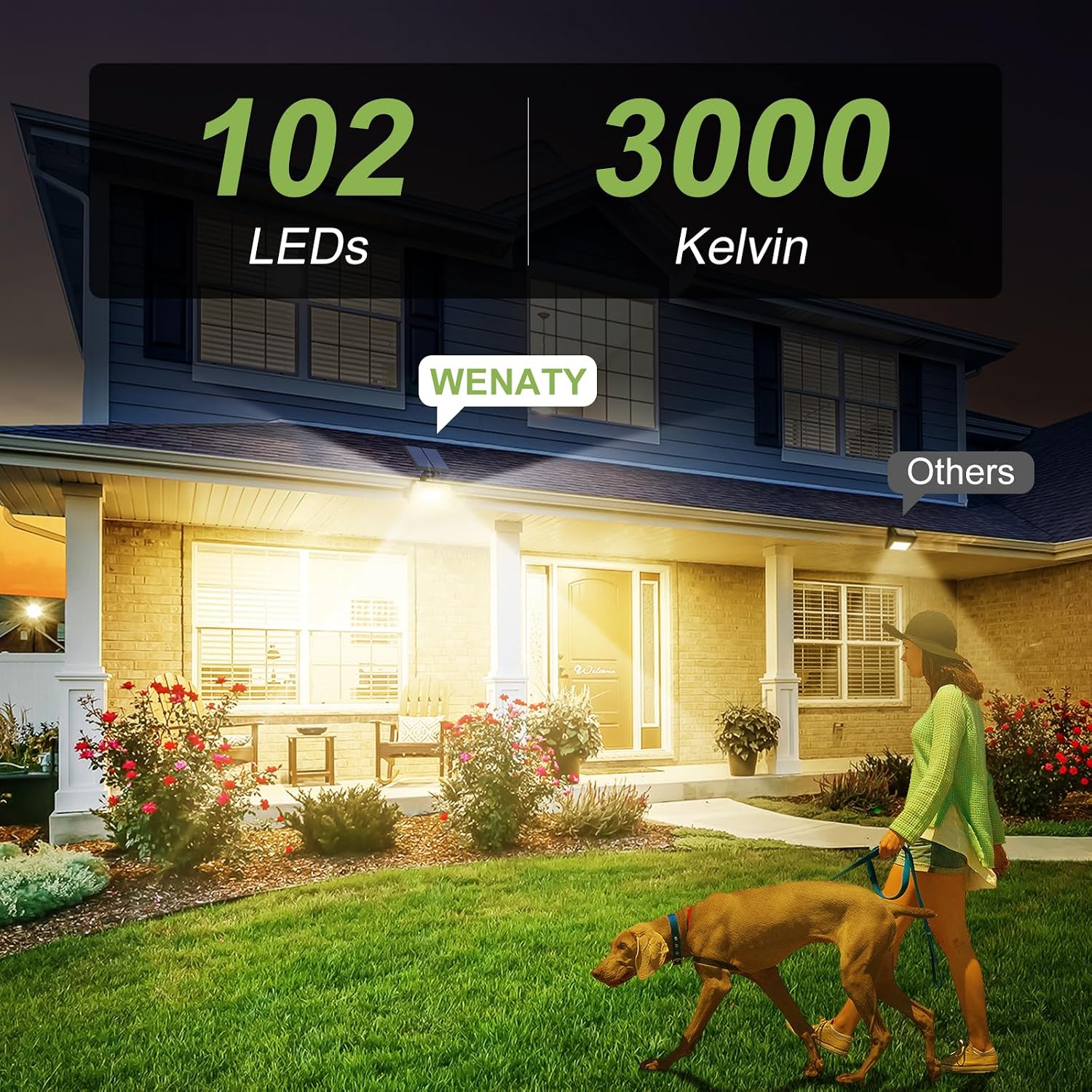 Adjustable Warm White Solar Spotlights